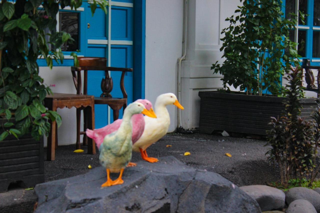 ホテル メルデカ ケディリ エクステリア 写真